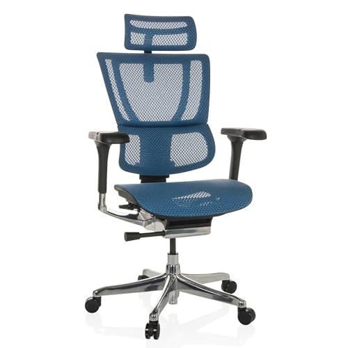 hjh OFFICE Bürostuhl ergonomisch ERGOHUMAN Slim GEN2 Originales Design, 24h Einsatz, Drehstuhl mit Flexibler Lordosenstütze, Netz Blau von hjh OFFICE