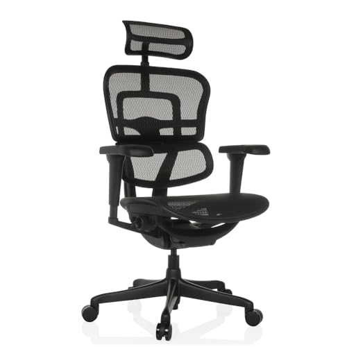 hjh OFFICE Bürostuhl ergonomisch ERGOHUMAN Signature GEN2 Originales Design, Bürosessel mit Flexibler Lendenwirbelstütze, Netzbespannung, Schwarz von hjh OFFICE
