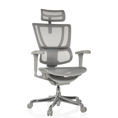 hjh OFFICE Bürostuhl ergonomisch ERGOHUMAN Slim Ultra G GEN2 Originales Design, Bürosessel mit Flexibler Lendenwirbelstütze, Netzbespannung, Grau von hjh OFFICE