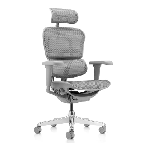hjh OFFICE Bürostuhl ergonomisch ERGOHUMAN Ultra G GEN2 Originales Design, Bürosessel mit Flexibler Lendenwirbelstütze, Netzbespannung, Grau von hjh OFFICE