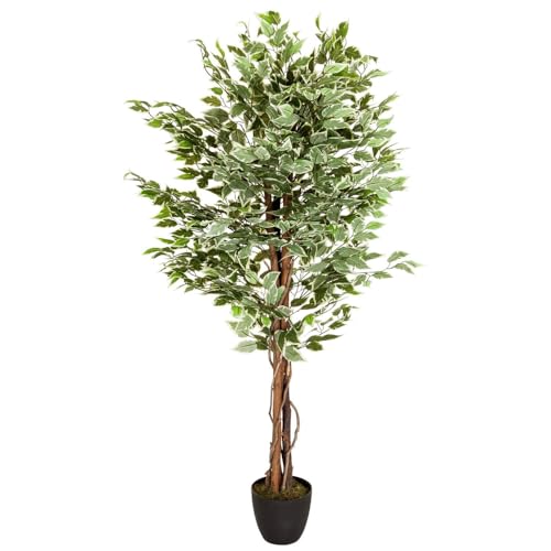hjh OFFICE Kunstpflanze FICUS Benjamini Höhe 165 cm Grün/Weiß 1008 Blätter Deko Zimmerpflanze Birkenfeige künstlich, 871000 von hjh OFFICE