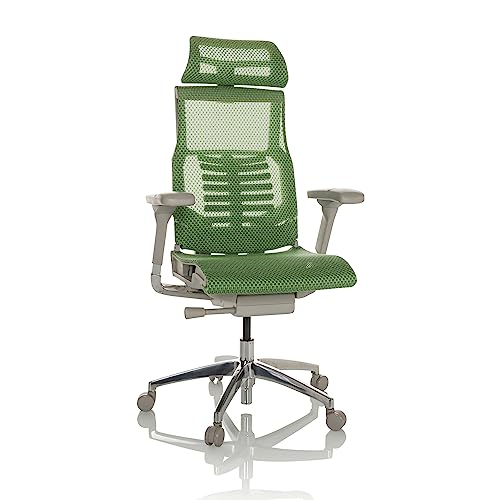 hjh OFFICE Profi Bürostuhl DYNAFIT II G Netz ergonomischer Drehstuhl mit Flexibler Lordosenstütze, Grün, 652283 von hjh OFFICE