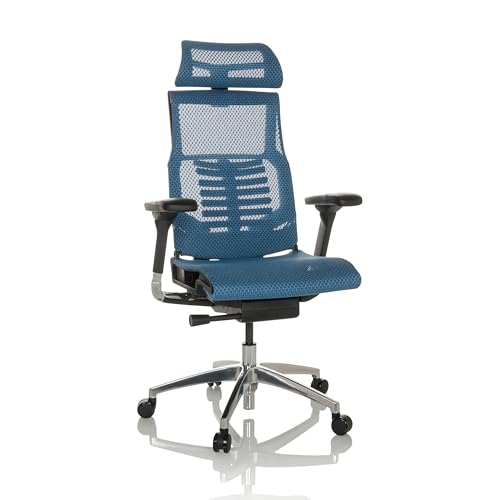 hjh OFFICE Profi Bürostuhl POFIT GEN2 Netz ergonomischer Drehstuhl mit Flexibler Lordosenstütze, Blau, 652285 hjh OFFICE Profi Bürostuhl POFIT GEN2 Netz ergonomischer Drehstuhl mit Flexibler Lordosenstütze, Blau, 652285 von hjh OFFICE