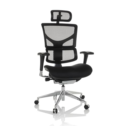 hjh OFFICE Profi Bürostuhl Ergo-U2 FM Stoff Drehstuhl ergonomisch, Flexible Lendenwirbelstütze, Rückenlehne höhenverstellbar, Netzrücken Schwarz 651100 von hjh OFFICE