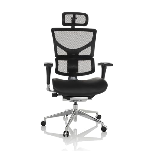 hjh OFFICE Profi Bürostuhl Ergo-U2 LM Leder Drehstuhl ergonomisch, Flexible Lendenwirbelstütze, Rückenlehne höhenverstellbar, Netzrücken Schwarz 651102 von hjh OFFICE