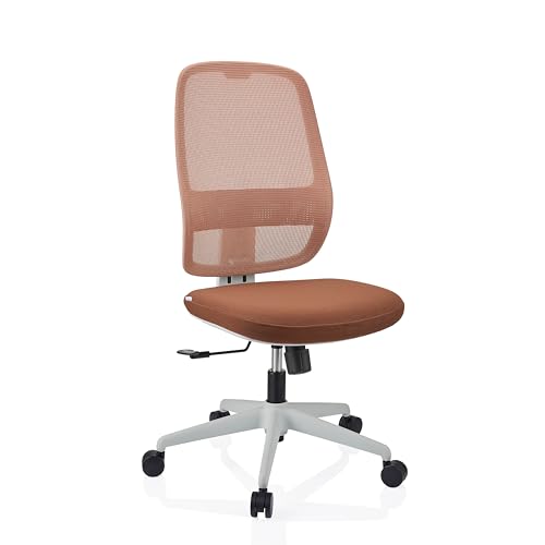 hjh OFFICE Profi Bürostuhl Minoro W ergonomischer Drehstuhl mit Synchronmechanik, höhenverstellbarer Netz-Rückenlehne, Flexibler Lordosenstütze, Braun hjh OFFICE Profi Bürostuhl Minoro W ergonomischer Drehstuhl mit Synchronmechanik, höhenverstellbarer Netz-Rückenlehne, Flexibler Lordosenstütze, Braun von hjh OFFICE