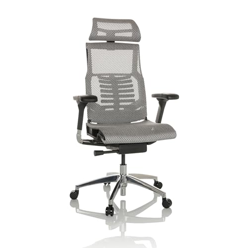 hjh OFFICE Profi Bürostuhl POFIT GEN2 Netz ergonomischer Drehstuhl mit Flexibler Lordosenstütze, Hellgrau, 652287 hjh OFFICE Profi Bürostuhl POFIT GEN2 Netz ergonomischer Drehstuhl mit Flexibler Lordosenstütze, Hellgrau, 652287 von hjh OFFICE