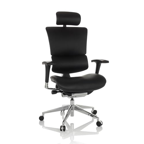 hjh OFFICE Profi Chefsessel Ergo-U2 L Leder Bürostuhl ergonomisch, Flexible Lendenwirbelstütze, Rückenlehne höhenverstellbar, Schwarz 651103 von hjh OFFICE