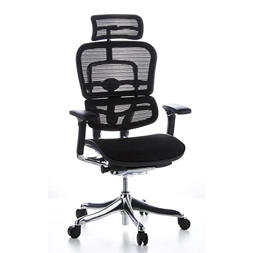 hjh OFFICE 652116 High End Bürostuhl ERGOHUMAN Plus ergonomischer Bürostuhl mit Vollausstattung, Originales Design, Netzstoff Schwarz von hjh OFFICE