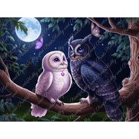 Diy Diamond Painting Full Screen Owl Couple Night Love Moon Birds Wedding Fantasy Round Square Special Stones Choice Canvas Diy Diamond Painting Full Screen Owl Couple Night Love Moon Birds Wedding Fantasy Round Square Special Stones Choice Canvas von hobbyandprints