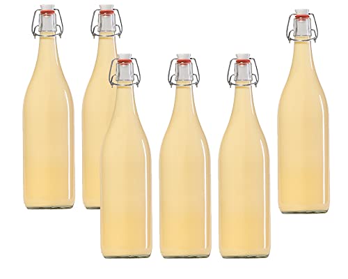 hocz 10er Set Bügelflaschen Bügelflasche Glasflaschen mit Bügelverschluss 1L 1000 ml Typ A zum Selbstbefüllen von hocz