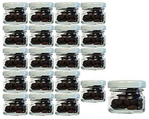 20er Set Sturzgläser Mini Gläser | Füllmenge 30 ml | Deckelfarbe Weiß | To 43 Rundgläser Marmeladengläser Einweckgläser Honig Gläser Einmachgläser Portionsgläser Probiergläser, Imker 20er Set Sturzgläser Mini Gläser | Füllmenge 30 ml | Deckelfarbe Weiß | To 43 Rundgläser Marmeladengläser Einweckgläser Honig Gläser Einmachgläser Portionsgläser Probiergläser, Imker von hocz
