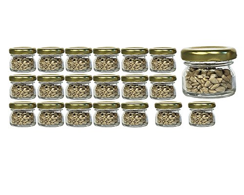 hocz 20er Set Sturzgläser Mini Gläser | Füllmenge 30 ml | Deckelfarbe Gold | To 43 Rundgläser Marmeladengläser Obstgläser Einweckgläser Honig Gläser Einmachgläser Portionsgläser Probiergläser Imker von hocz