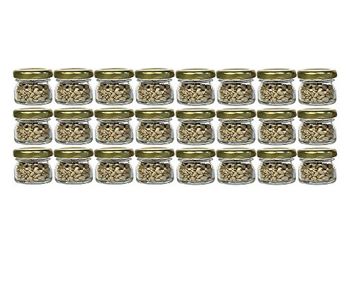 hocz 24er Set Sturzgläser Mini Gläser | Füllmenge 30 ml | Deckelfarbe Gold | To 43 Rundgläser Marmeladengläser Obstgläser Einweckgläser Honig Gläser Einmachgläser Portionsgläser Probiergläser Imker hocz 24er Set Sturzgläser Mini Gläser | Füllmenge 30 ml | Deckelfarbe Gold | To 43 Rundgläser Marmeladengläser Obstgläser Einweckgläser Honig Gläser Einmachgläser Portionsgläser Probiergläser Imker von hocz