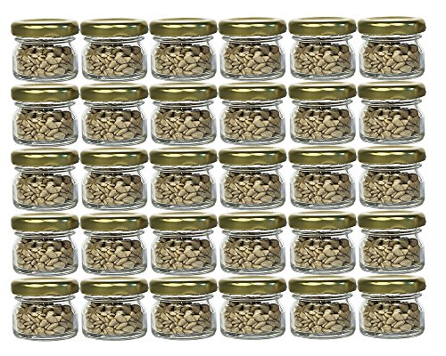 hocz 30er Set Sturzgläser Minigläser Fassungsvermögen 30 ml Deckelfarbe Gold Bis 43 Rundgläser Marmeladengläser Obstgläser Einmachgläser Honiggläser Einmachgläser Portionsgläser Probiergläser Imker hocz 30er Set Sturzgläser Minigläser Fassungsvermögen 30 ml Deckelfarbe Gold Bis 43 Rundgläser Marmeladengläser Obstgläser Einmachgläser Honiggläser Einmachgläser Portionsgläser Probiergläser Imker von hocz