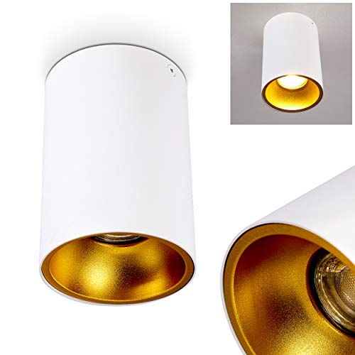 Deckenleuchte Grenada, moderne Deckenlampe aus Metall in Weiß/Gold, 1 x G10-Fassung, Leuchtspot 1-flammig, Aufbauleuchte, ohne Leuchtmittel von HOFSTEIN