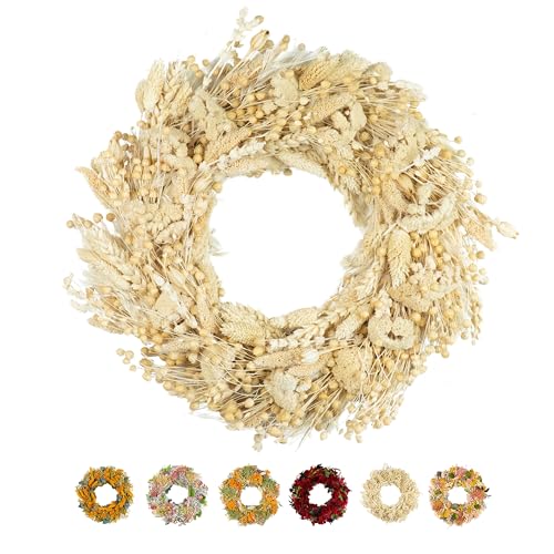 PHILARO Trockenblumenkranz Beige Ø 30cm - kein Plastik I Trockenblumen Premium Qualität aus Europa I Trockenblumen Kranz für Haustür, Wand und Tisch von holiki