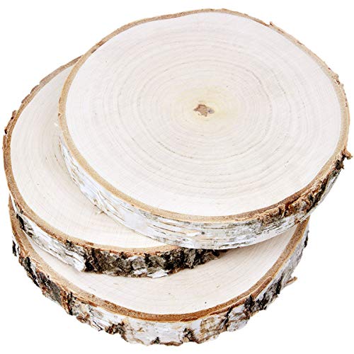Holz Scheiben 3 Stück Baumscheiben Ø 20-25 cm mit Rinde Birkenscheiben von holzalbum