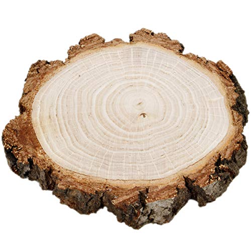 Rindenbrett Holzscheibe 2 cm mit Dicker Rinde Ø 15-19 cm Baumscheibe Holz Brett von holzalbum
