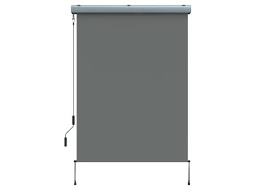 Home Trends® Balkonrollo 140x250 cm – Vertikalmarkise mit Handkurbel aus Aluminium – Sichtschutz, Sonnenschutz & Windschutz für Balkon & Terrasse (Anthrazit) Home Trends® Balkonrollo 140x250 cm – Vertikalmarkise mit Handkurbel aus Aluminium – Sichtschutz, Sonnenschutz & Windschutz für Balkon & Terrasse (Anthrazit) von home Trends