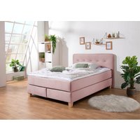 Home affaire Boxspringbett "Fargo", inkl. Topper, in 3 Matratzenarten, in Samt- oder Strukturstoff von home affaire