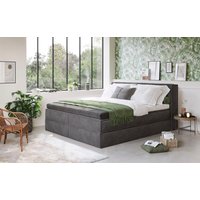LeGer Home by Lena Gercke Boxspringbett "Addyson", (Härtegrade H2, H3 und H4 wählbar), Boxspringbett inkl. Topper, 2 Matratzen von Leger Home By Lena Gercke