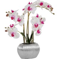 Home affaire Kunstpflanze "Orchidee" von home affaire