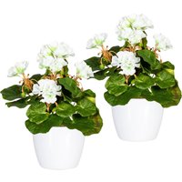 Home affaire Kunstpflanze "Havel" im Topf, 2er Set Home affaire Kunstpflanze "Havel" im Topf, 2er Set von home affaire