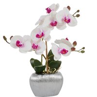 Home affaire Kunstpflanze "Orchidee" Kunstorchidee, im Topf von home affaire