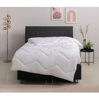 Home affaire Microfaserbettdecke "Sartes, Bettdecke 135x200 cm, 155x220 cm" normal Füllung Polyester Bezug Polyester 1 Stk. tlg. Bettdecken, Sommer, Decke, für Allergiker geeignet von home affaire