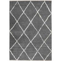 160x230 Teppich Agadir AGA 501 von Lalee silver