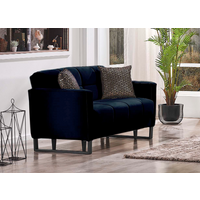 2-Sitzer Sofa ELTON  Microfaser soft schwarz