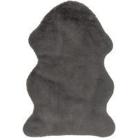 60x90 Teppich COSY von Lalee Grau