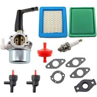 696065 Vergaser mit Dichtung Luftfilter YL-991 Kraftstofffilter YL-999 Zündkerze YL-721 Kompatibel mit Motorhacke 697422 110412 110402 mit 2x