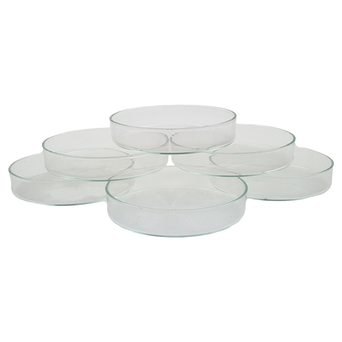 6er Set Petrischale Laborschale Laborglas Glasschale AR-Glas 75x15 mm