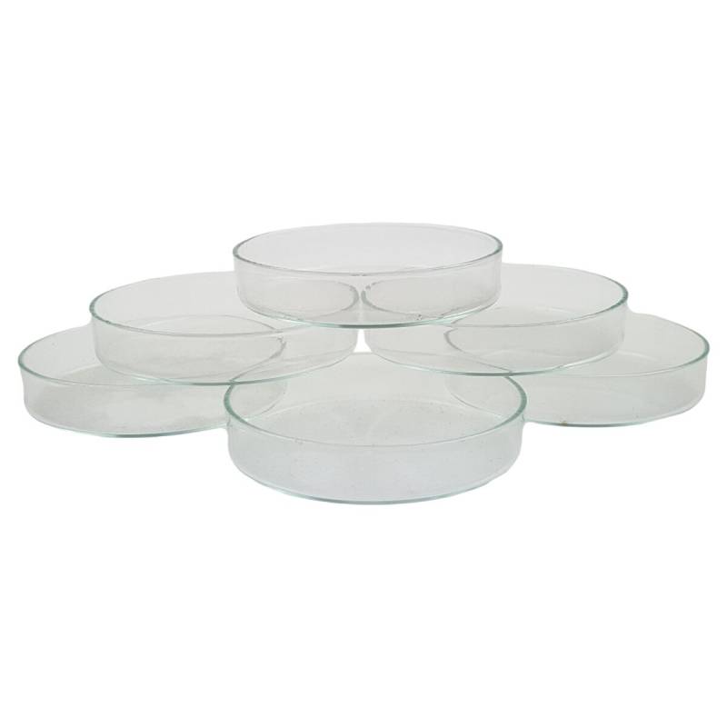 6er Set Petrischale Laborschale Laborglas Glasschale AR-Glas 75x15 mm