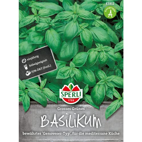 83812 Sperli Premium Basilikum Samen Großes Grünes Genoveser | Basilikum Saat | Basilikum Saatgut | Kräuter Samen | Kräuter Saatgut von TOM-GARTEN