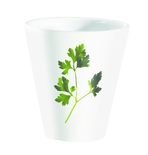 ASA TRATTORI KRÄUTER-Übertopf PETERSILIE H.14,5 cm; D. 13,5 von Staples Deutschland
