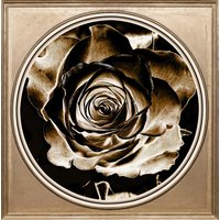 queence Acrylglasbild "Rose Sepia" von Queence