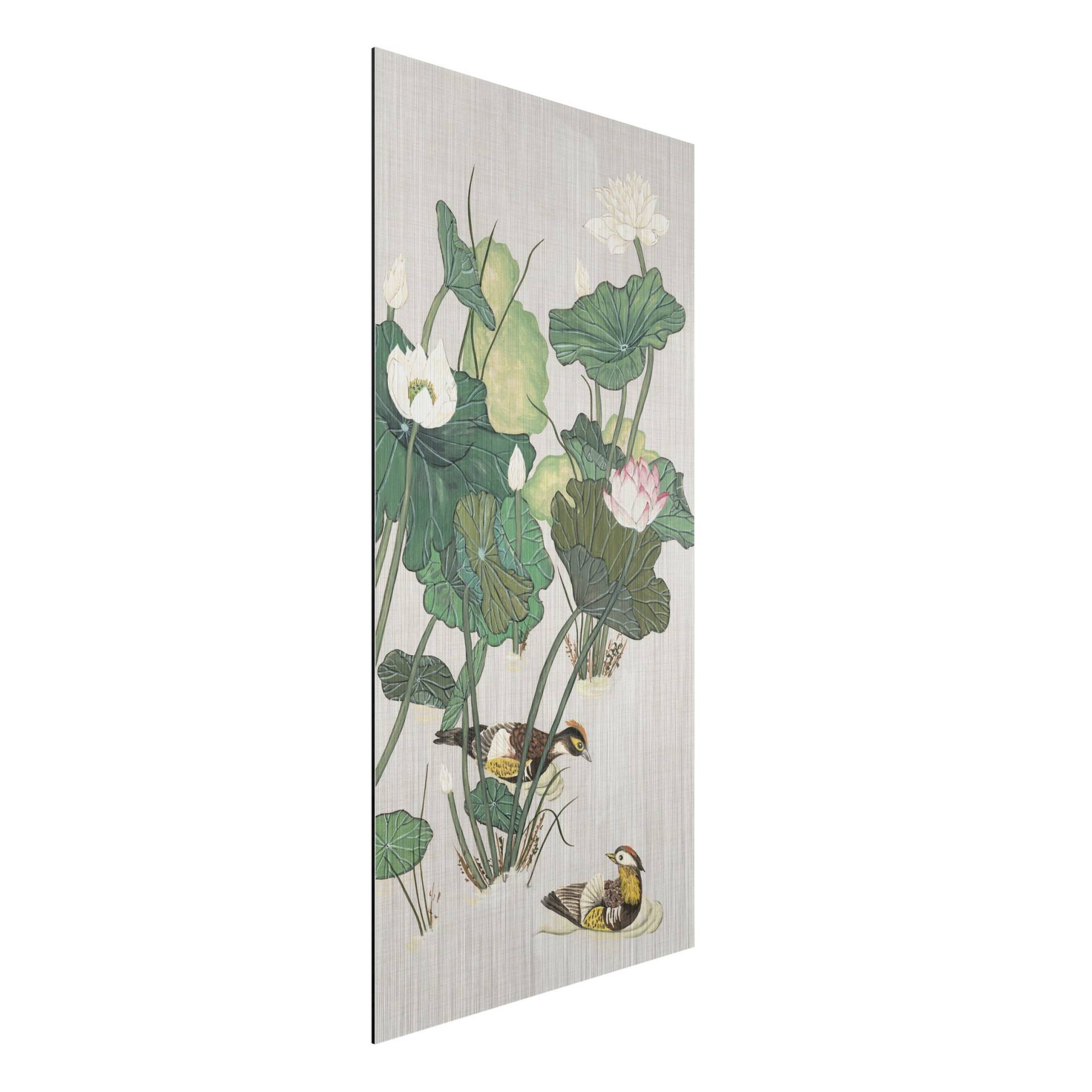 Alu-Dibond Outdoor Bild Vintage Illustration Lotusblüten im Teich