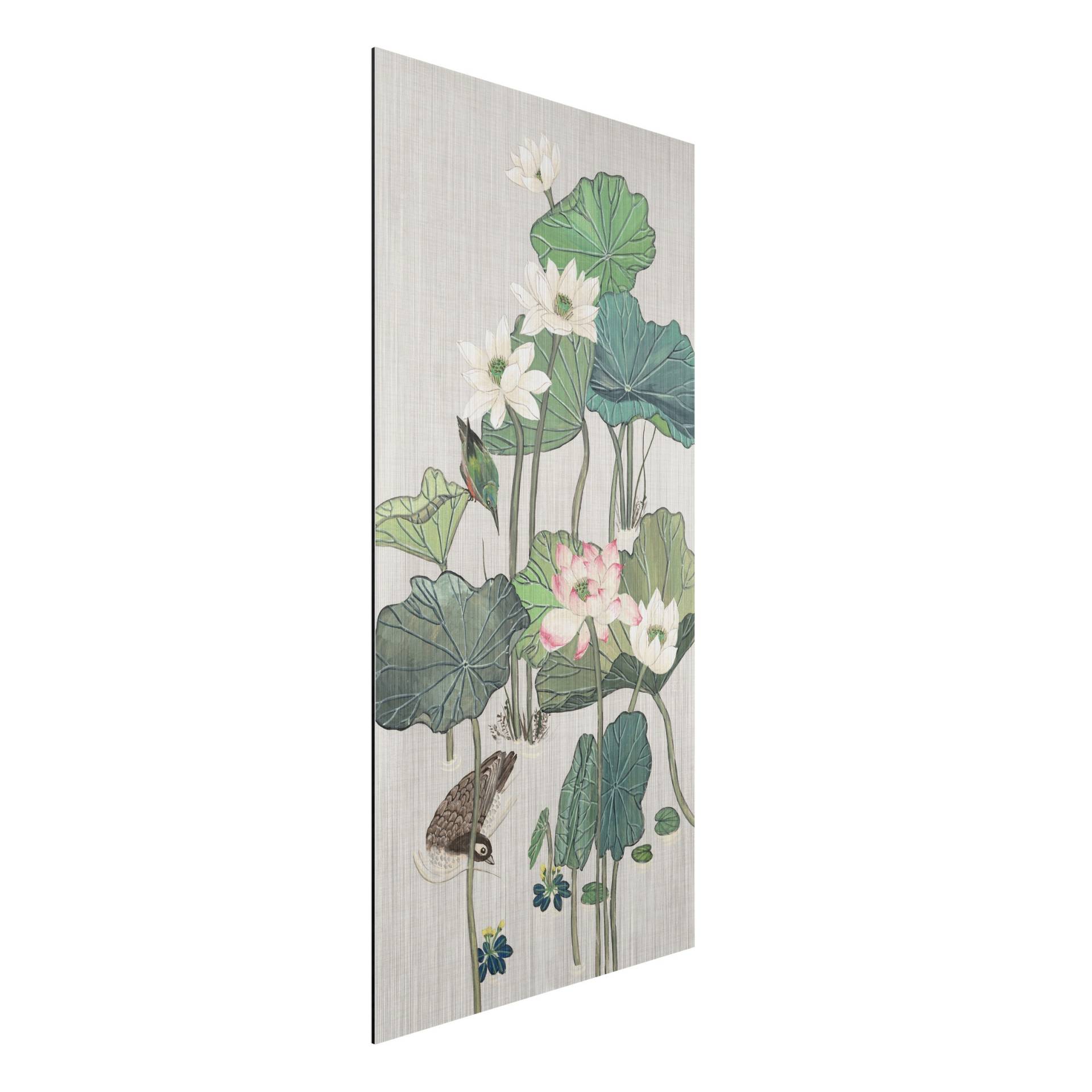Alu-Dibond Outdoor Bild Vintage Illustration Lotusblüten im Teich II