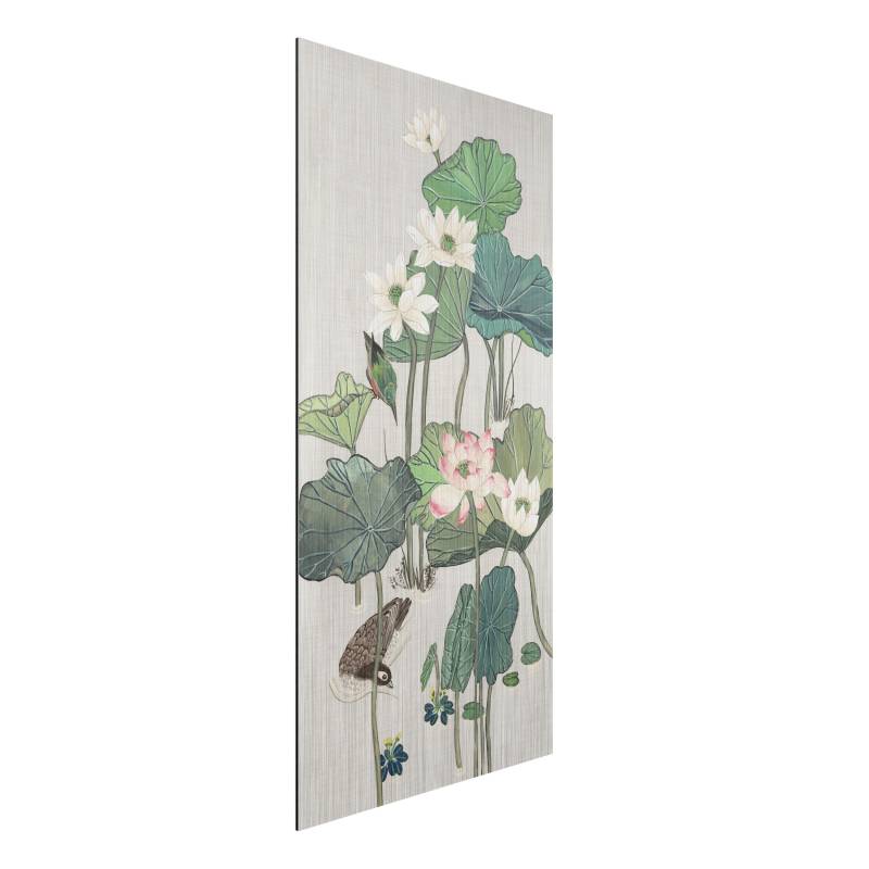 Alu-Dibond Outdoor Bild Vintage Illustration Lotusblüten im Teich II