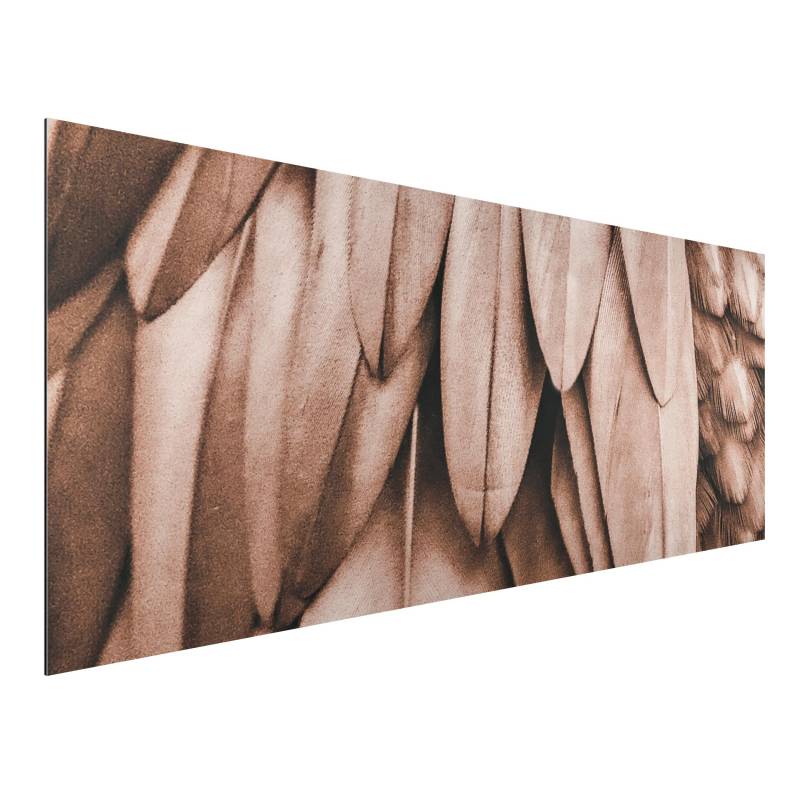 Alu-Dibond Bild Federn in Rosegold