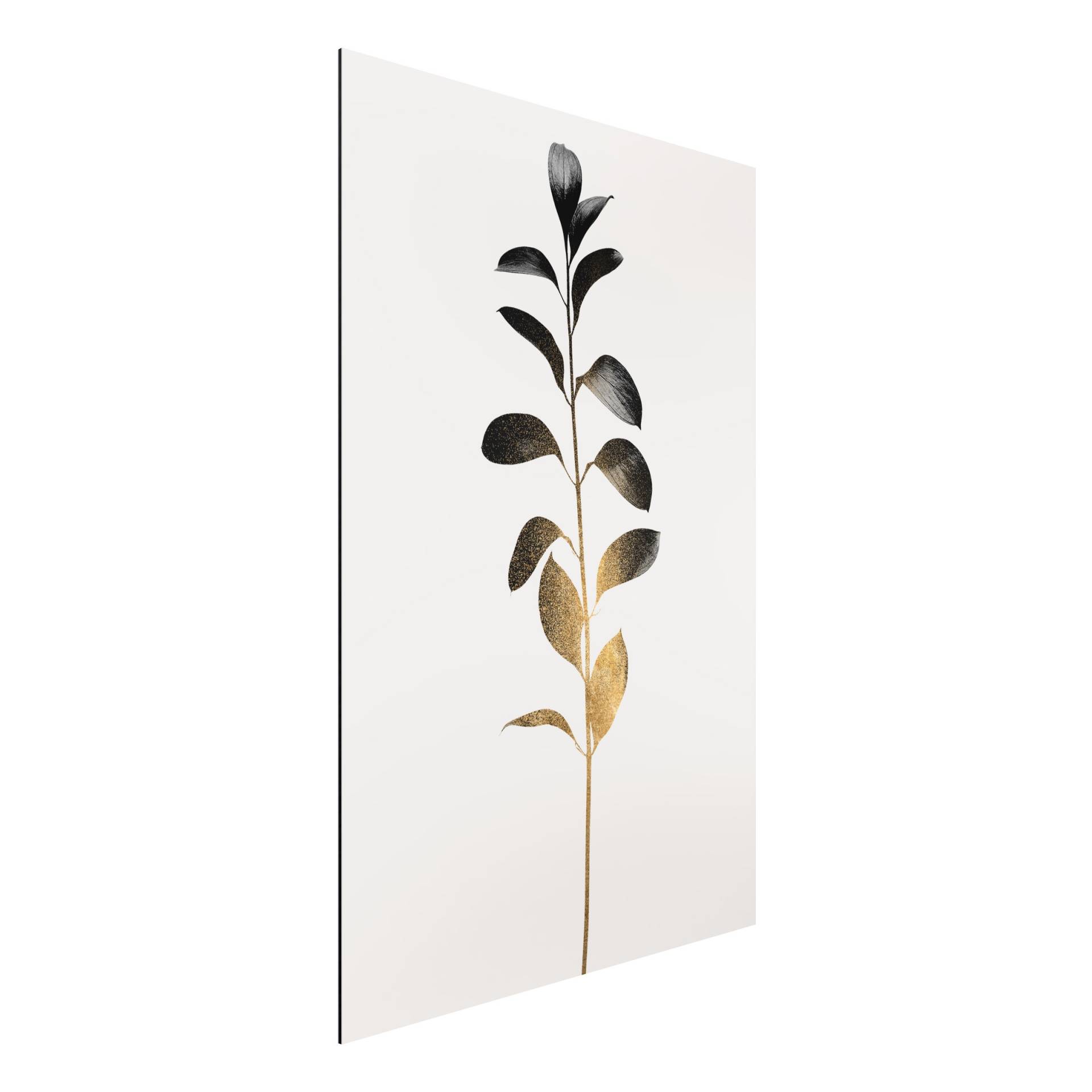 Alu-Dibond Outdoor Bild Grafische Pflanzenwelt - Gold und Grau Alu-Dibond Outdoor Bild Grafische Pflanzenwelt - Gold und Grau