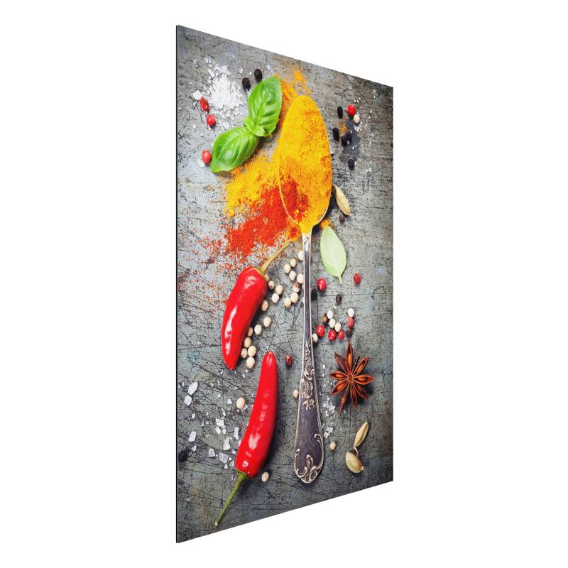 Alu-Dibond Outdoor Bild Löffel mit Gewürzen