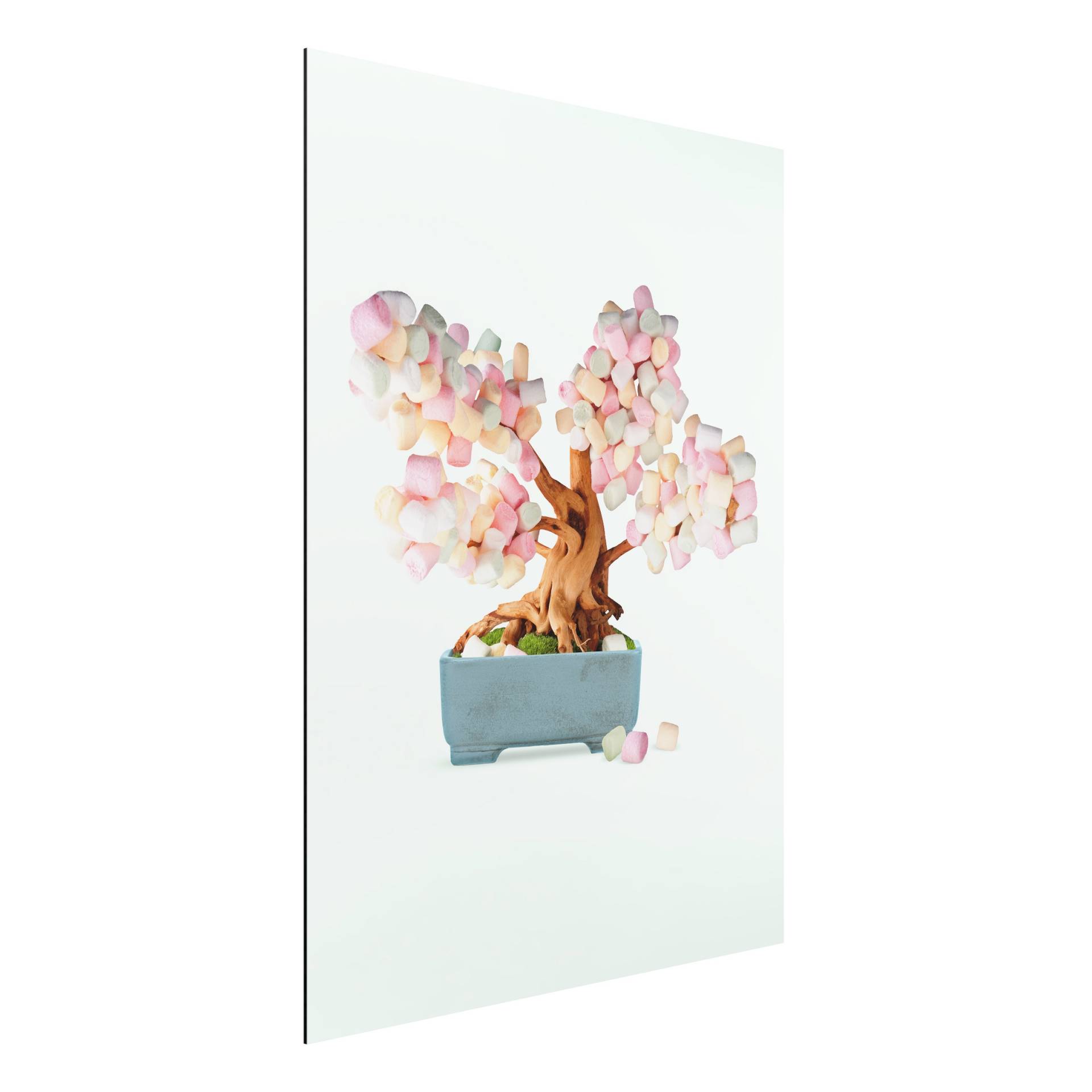 Alu-Dibond Bonsai mit Marshmallows