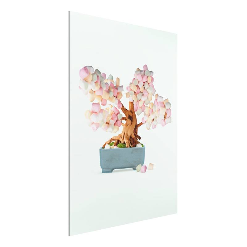 Alu-Dibond Bonsai mit Marshmallows