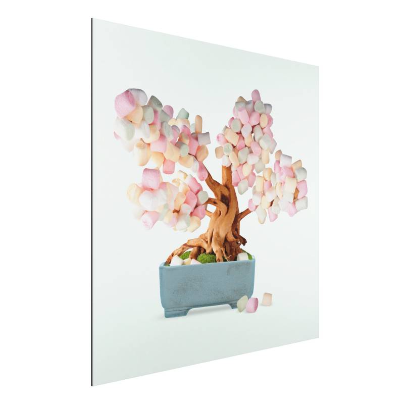 Alu-Dibond Bonsai mit Marshmallows