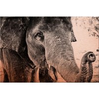 Wall-Art Metallbild "Indian Elephant" von Wall-Art