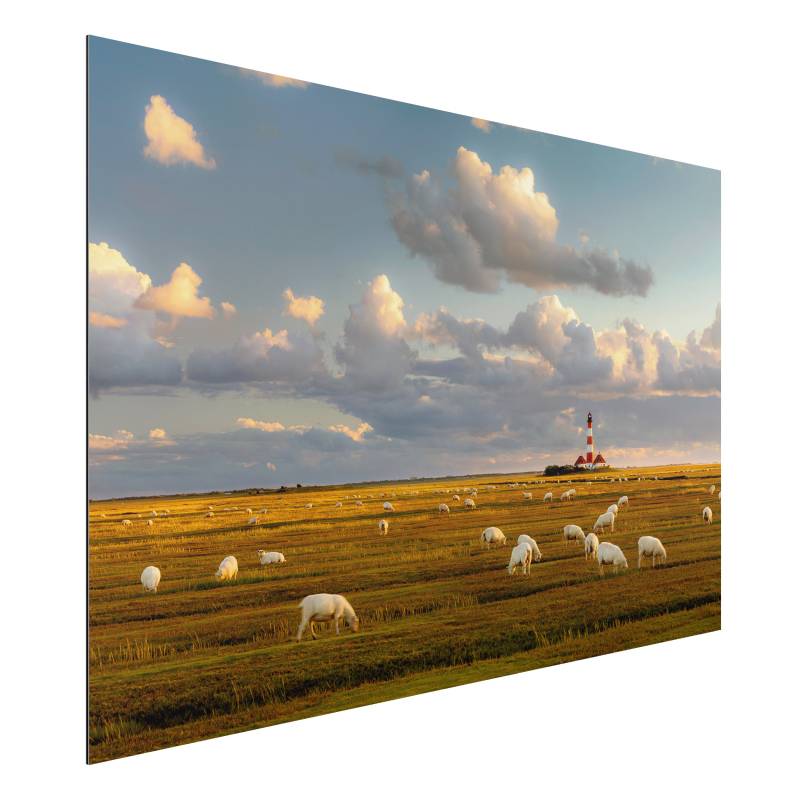 Alu-Dibond Natur & Landschaft Nordsee Leuchtturm mit Schafsherde